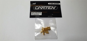 [GFH0308] YFS 12.9 Gold Coating screw set - FH M3*8mm(10개)